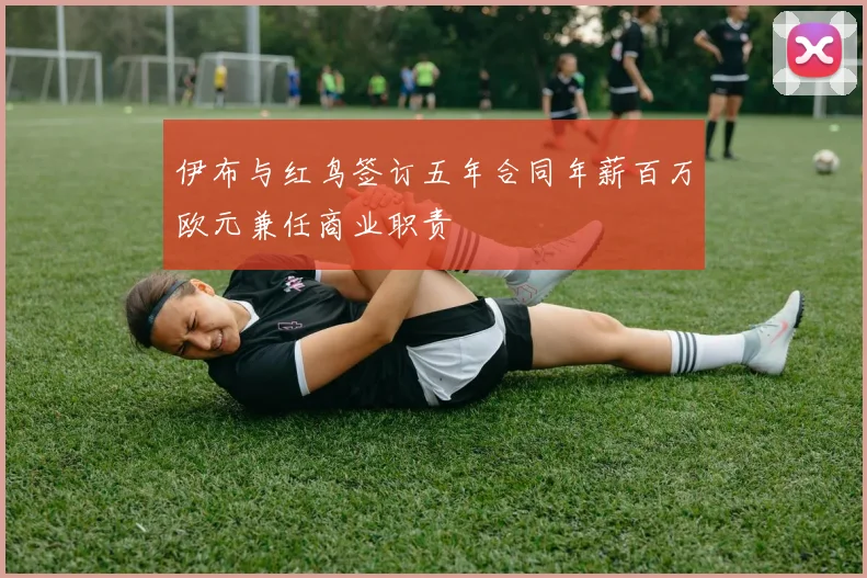 伊布与红鸟签订五年合同年薪百万欧元兼任商业职责