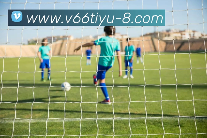 V66体育APP 封面图